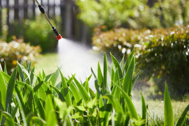 Tamper-Resistant Bait Stations for Rodents in Laguna Niguel