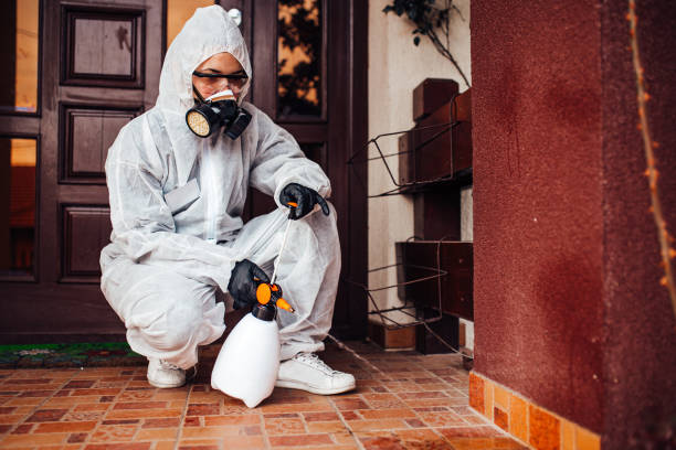 Attic and Crawl Space Rodent Treatment in Laguna Niguel